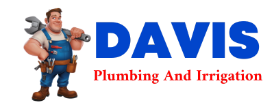 Trusted plumber in DENIO